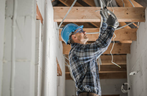 Best Electrical System Inspection  in Audubon, IA