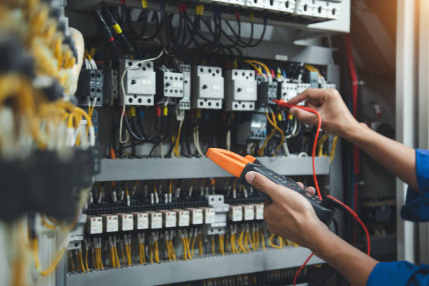 Best Electric Panel Repair  in Audubon, IA
