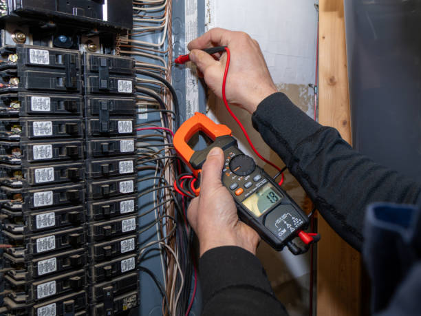 Best Local Electrician Companies  in Audubon, IA