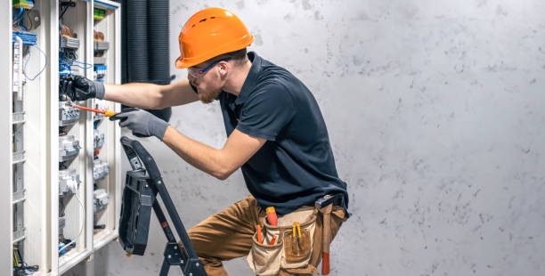 Best Electric Panel Repair  in Audubon, IA