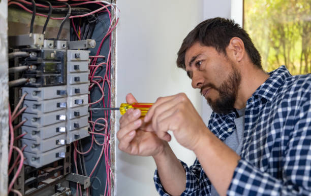 Best Home Electrical Repair  in Audubon, IA